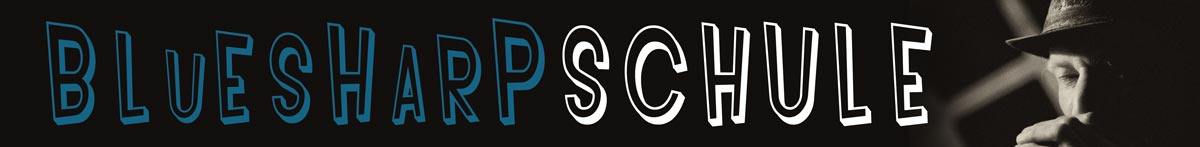 Harper Seven | Der Berner Bluesharper