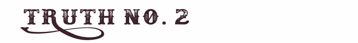 Harper Seven | Der Berner Bluesharper